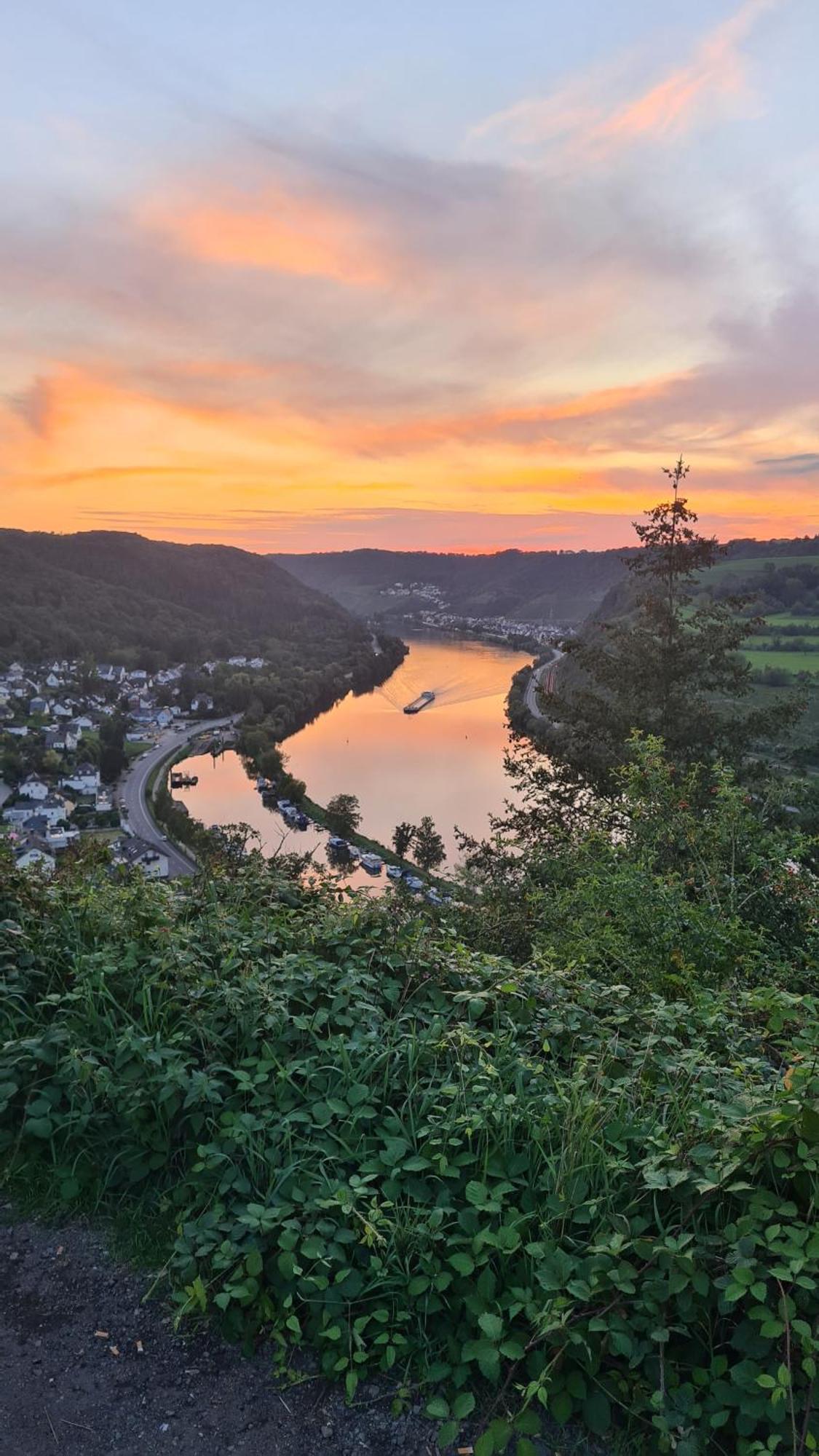Pension Mit Moselblick Klotten Esterno foto