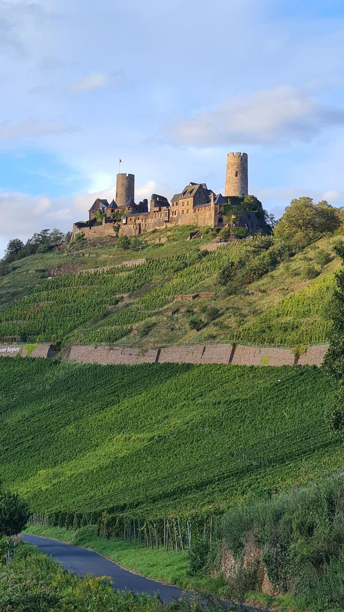 Pension Mit Moselblick Klotten Esterno foto