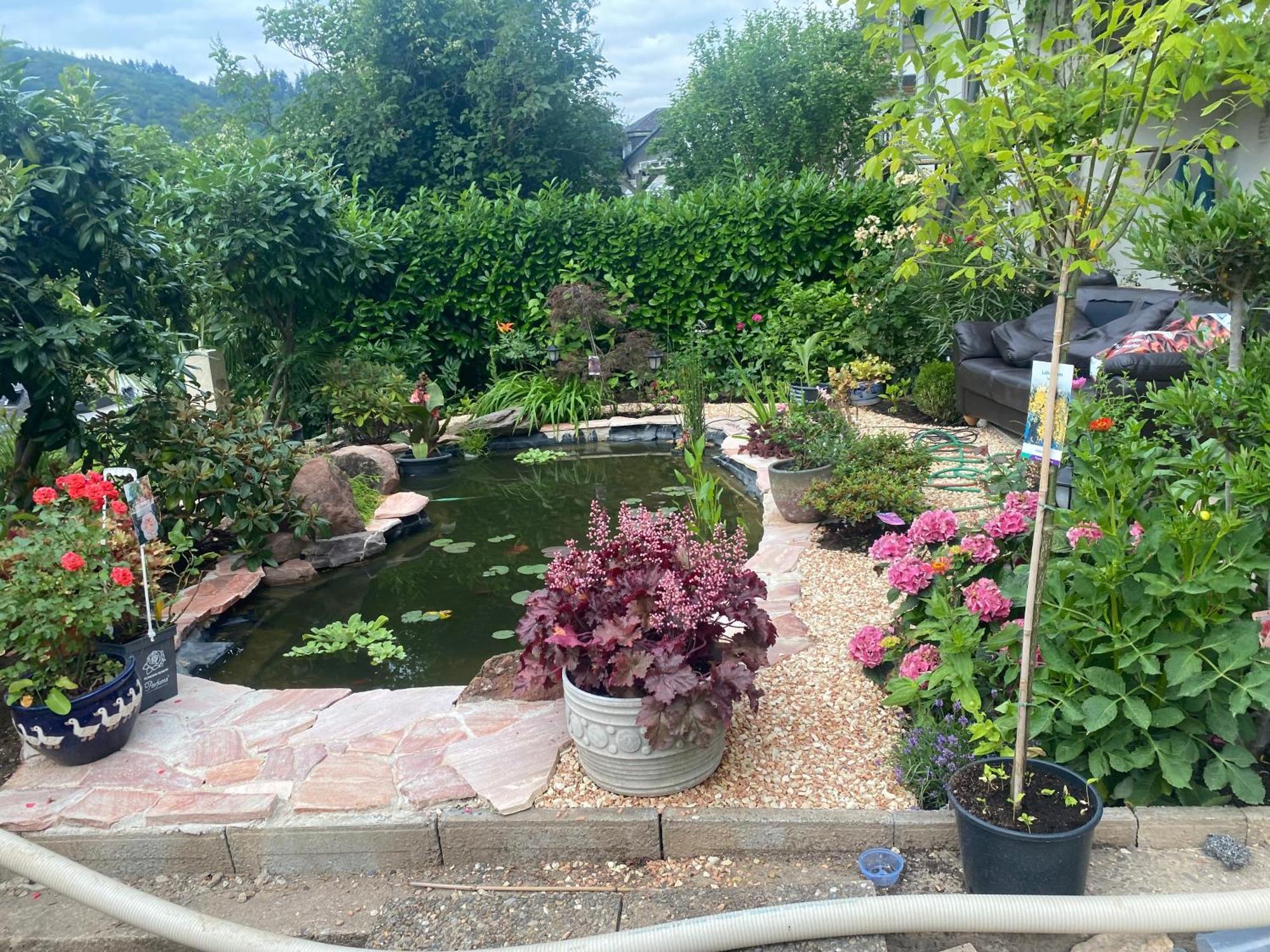 Pension Mit Moselblick Klotten Esterno foto